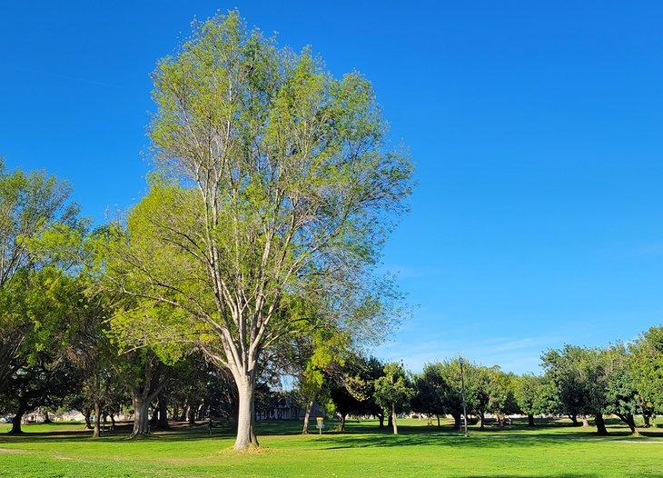Parcs de Long Beach, CA