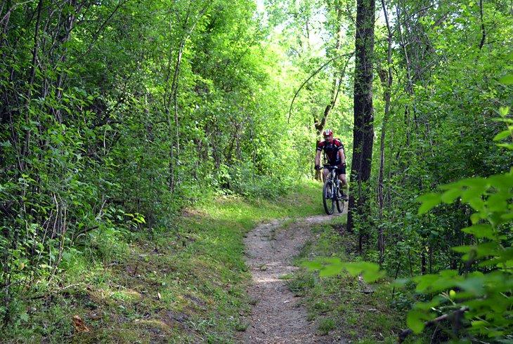 Senderos para bicicletas de montaña en Minnesota