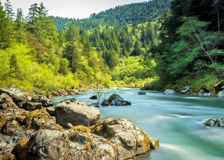 Terrains de Camping dans les Parcs Nationaux et d'État de Redwood, CA