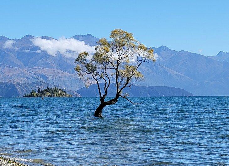 De Queenstown a Wanaka: Maneras de Llegar Allí