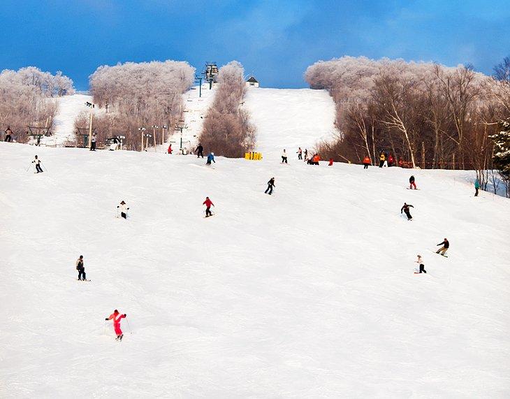 Skigebiete in Kanada, 2024/25