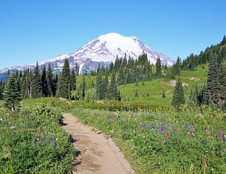 Wanderungen im Mount Rainier Nationalpark, WA