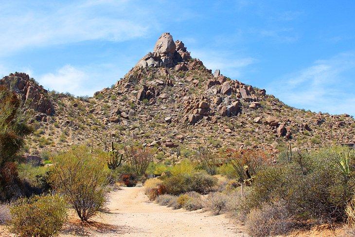 Wanderwege in Phoenix, AZ