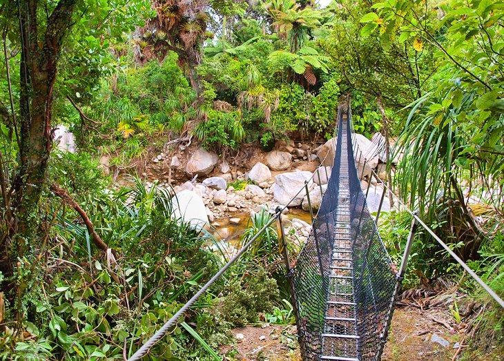 Attractions de la Côte Ouest, NZ