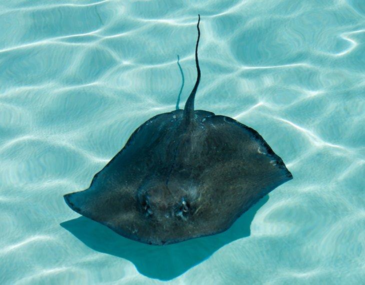 Touristenattraktionen in Orlando, FL