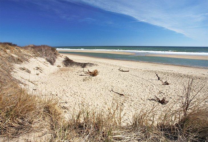 Playas de la Costa Este (con Mapa)