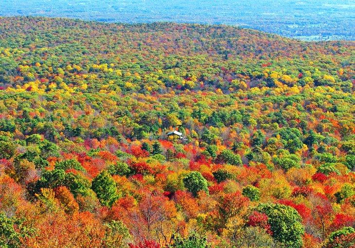 Fahrten zum Sehen des Herbstlaubs in New York