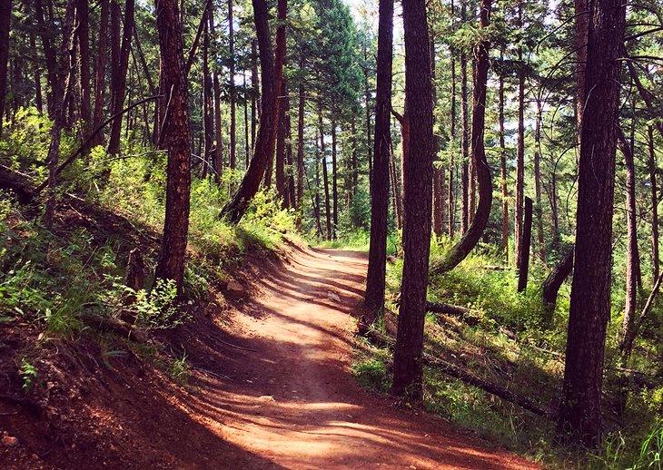 Wanderungen in der Nähe von Denver, CO