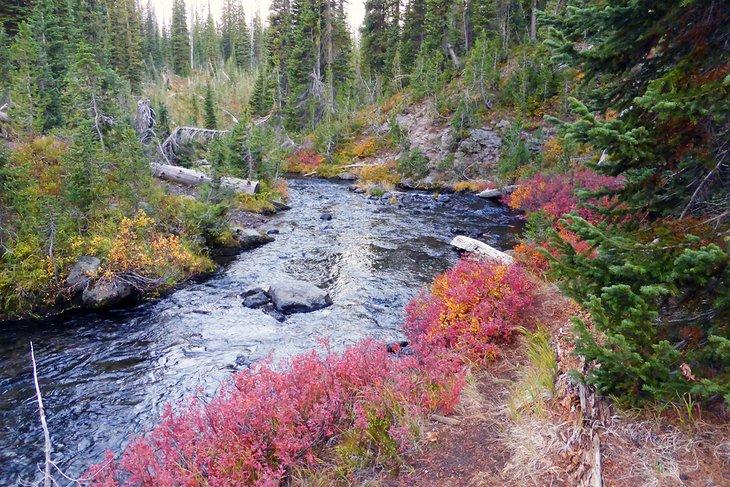 Sentiers de randonnée dans le parc national de Yellowstone