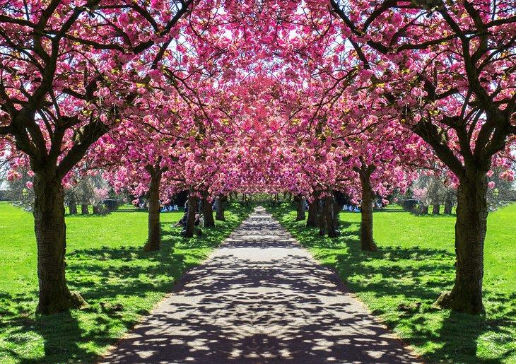 Parques en Londres