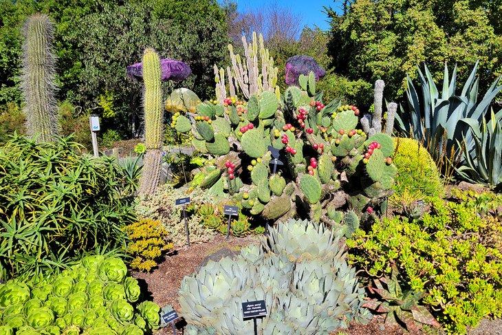 Cosas que Hacer en Fort Bragg, CA