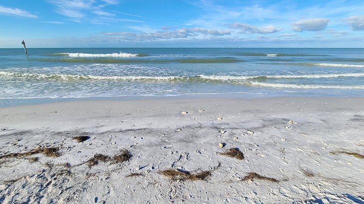 Playas cerca de Tampa, FL