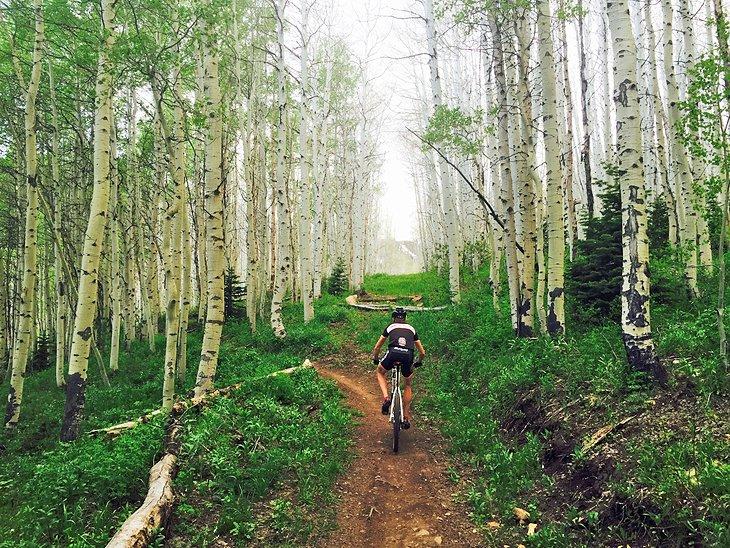 Atracciones y cosas que hacer en Park City, UT