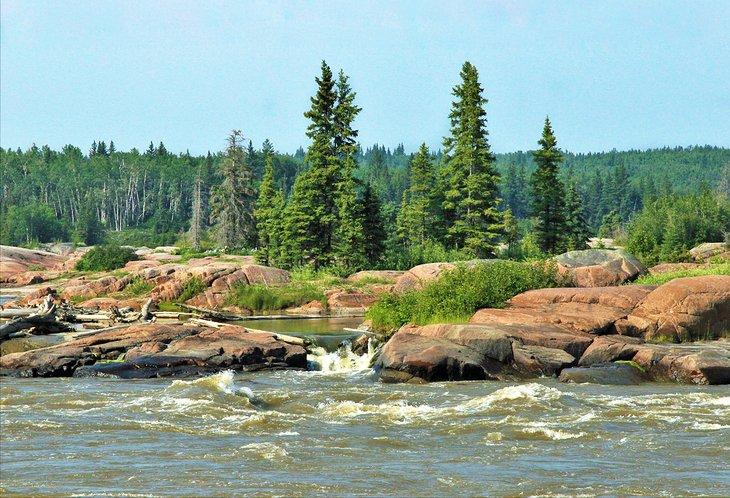 Wood Buffalo National Park: Dinge zu tun