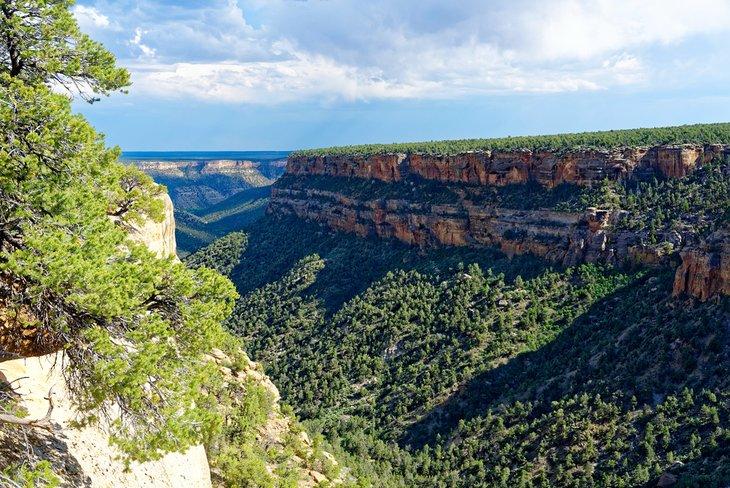 Besuch von Mesa Verde Nationalpark: Dinge zu sehen und zu tun