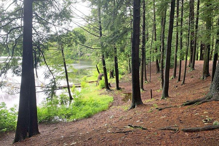 Parques Estatales en Connecticut