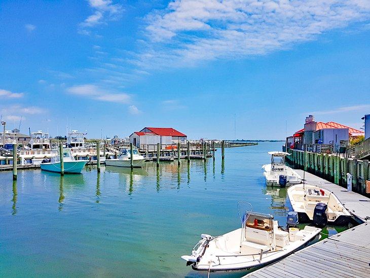 Choses à faire à Cape May, NJ