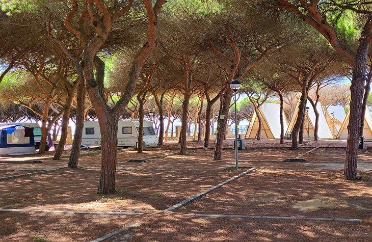 Campings à Tarifa