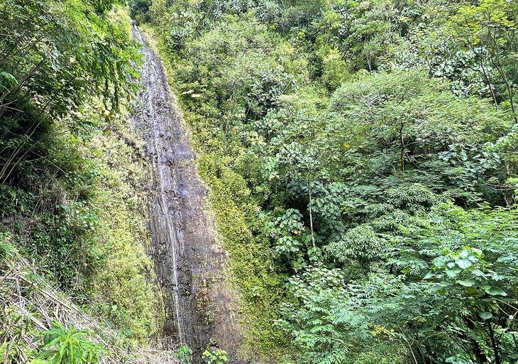 Cataratas Impresionantes en Oahu