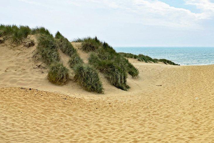 Playas en Sussex