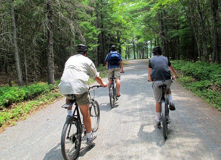 Parc National d'Acadia : Activités à Faire
