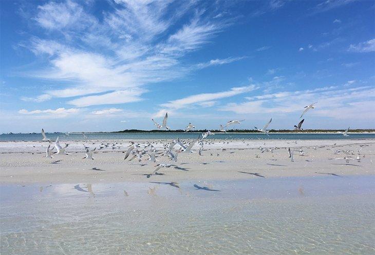 Playas de Florida para Familias