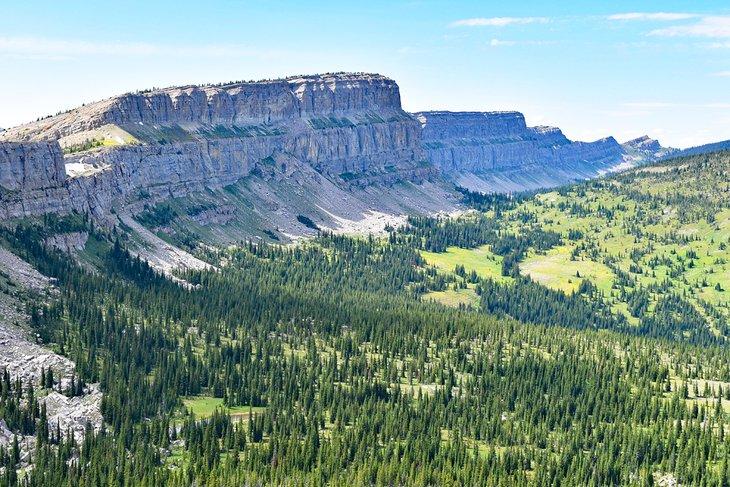 Cosas que Hacer en el Bosque Nacional Flathead, MT