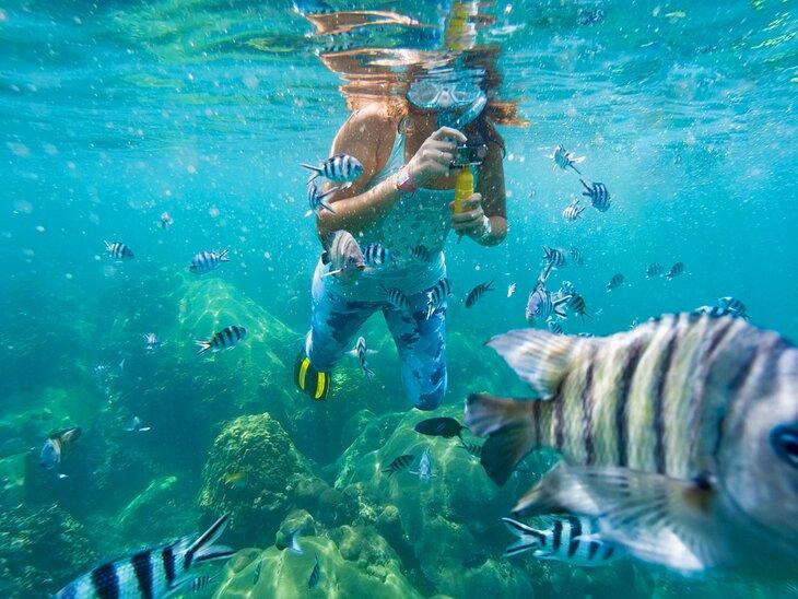 Lieux où faire du snorkeling dans le monde