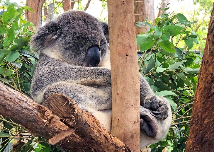 Escapadas de Fin de Semana desde Sídney