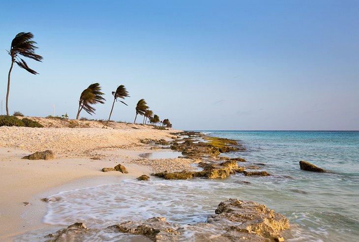 Plages de Sable Rose dans le Monde