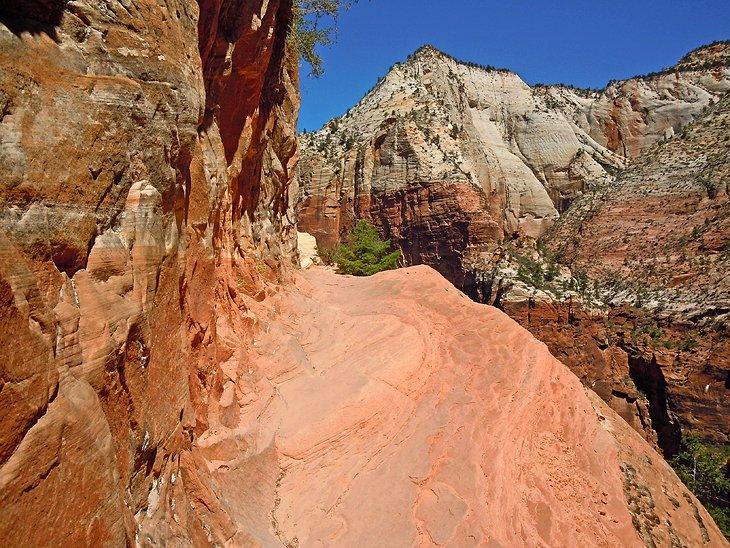 Senderos de Caminata en el Parque Nacional Zion